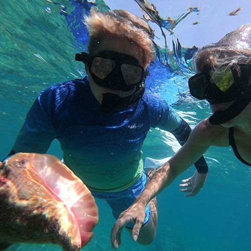 Conch Diving